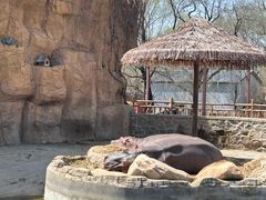 -沈阳森林动物园