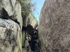 -鲁山国家森林公园