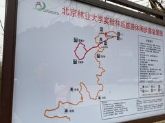 -北京鹫峰国家森林公园