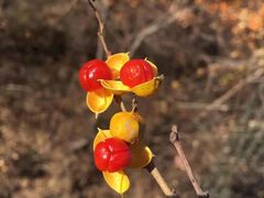 -天津盘山风景名胜区