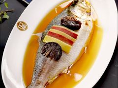 花雕蒸鲥鱼-望乡楼上海菜(日月光店)