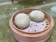 -有心德(麦地店)