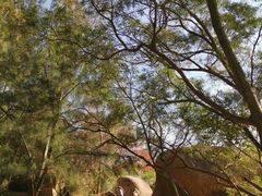 -厦门园林植物园-植物园滴水山房