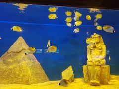 -北海·海洋之窗
