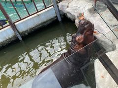 -灵玲国际马戏城