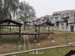 -石家庄市动物园