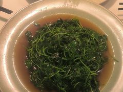 -蜀香格格•剁椒鱼头(龙西店)