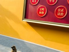 -龙华素斋(龙华路店)