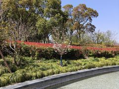 -上海吴淞炮台湾国家湿地公园