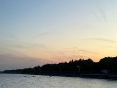 -贡湖湾湿地公园