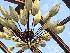 -少林寺欢喜地素斋馆