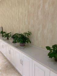-诗媛嘉美健康管理中心(金桥店)