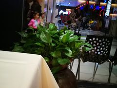-金春禧(世茂国际广场店)