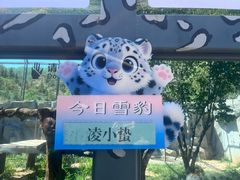 -青藏高原野生动物园