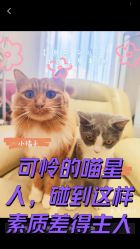 点击看大图 -Rena nail 美甲美睫私人定制