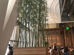 -上海柏悦酒店·世纪100牛排馆