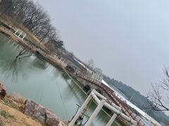 -大塘金香草谷