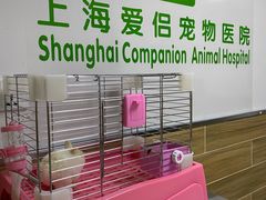 -爱侣宠医·鹦鹉专科·小型哺乳类·异宠专科(灵石路店)
