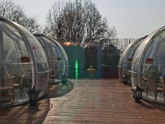 -南门四季铜锅涮肉(大屯·北苑店)