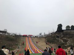 -秀丽东方