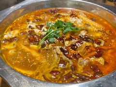 -十二点·辣椒炒肉(南山店)