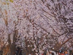 -三里河公园