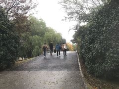 -梁鸿国家湿地公园