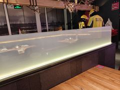 -老板恋上鱼(环山路店)