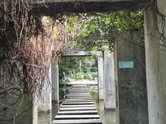-燕晗山郊野公园