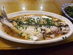 -呼吸森林·生态农庄农家乐私房菜