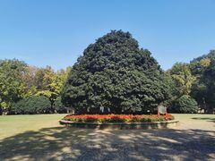 -灵谷景区