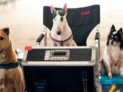 -汇金缪斯影城(八佰伴店)