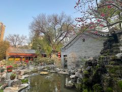 -白家大院·王府宫廷菜(苏州街店)