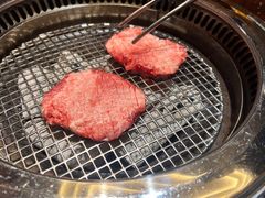 -观品和牛