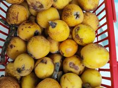 -塘栖枇杷特色园区