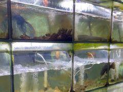 -海之鲜大排档(东山海鲜金銮湾店)