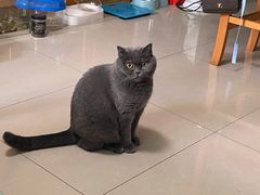 -宠颐生宠物医院·心肾内科·猫专科诊疗中心宠巢店