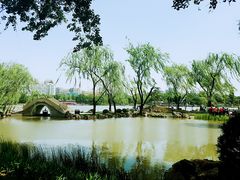 -紫竹院公园冰场