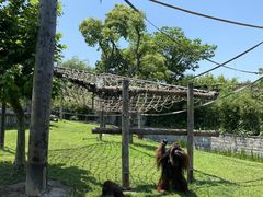 -上海野生动物园