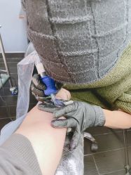 -白泽刺青纹身