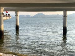 -演武大桥观景平台