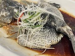 -海宝酒家(中山四路店)