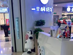 -一只酸奶牛(八一路店)