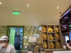 -油梨树AVOCADO TREE(嘉里中心店)
