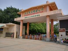 -广东茂名森林公园