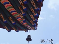 -东莞市大岭山森林公园