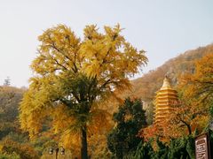 -天津盘山风景名胜区