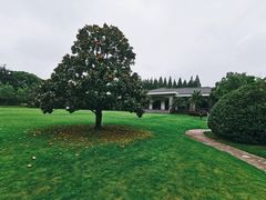 -上海虹桥迎宾馆
