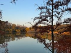 -昆山城市生态森林公园