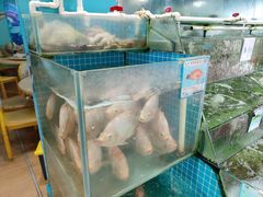 -小海豚•老字号海鲜餐厅(天涯店)